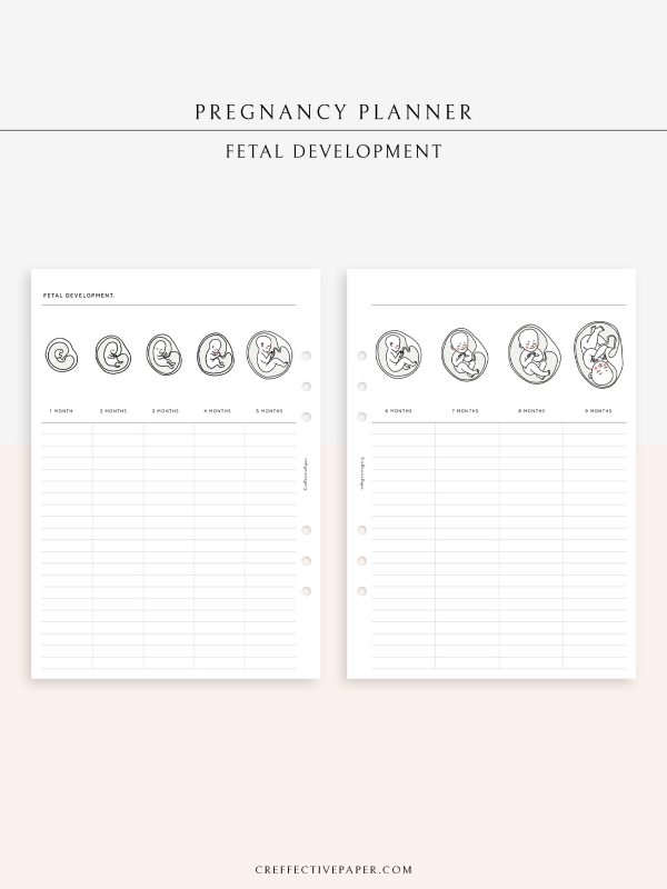 N128 | Pregnancy Planner Bundle Online Sale