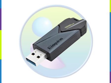 Kingston DTXON 128GB 128GB USB 3.2 Gen 1 USB Flash Drive For Discount